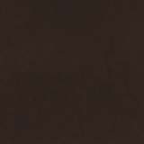 Marquee Velvet Fabric