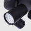 Auralia Spotlight-731373895