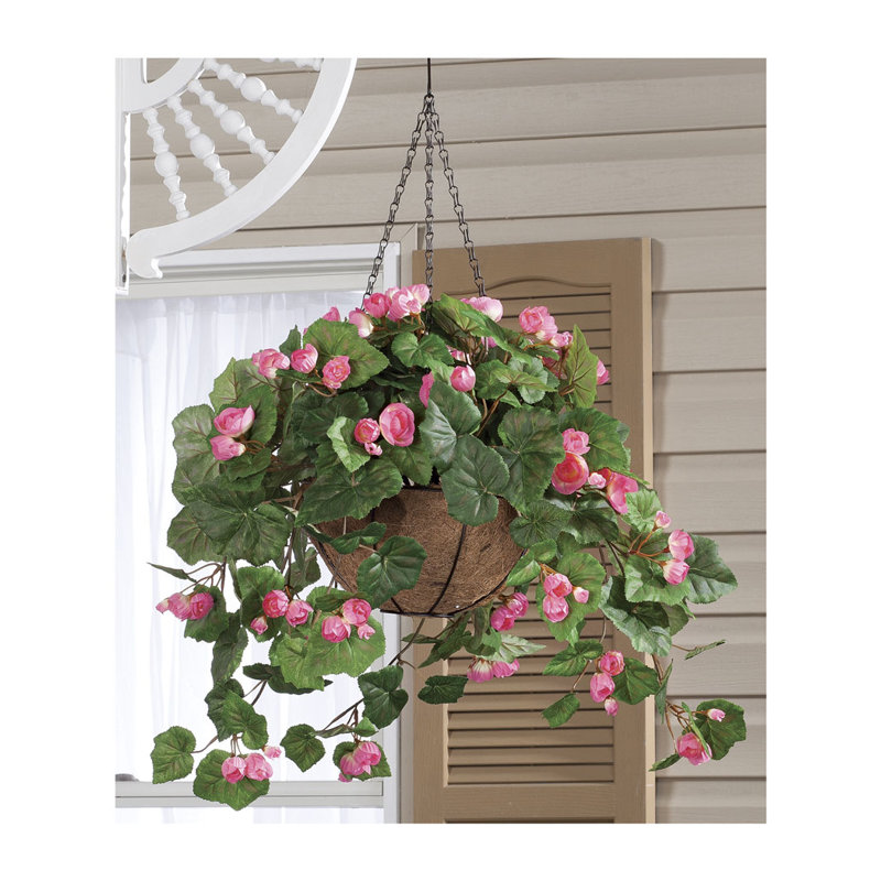 OakRidge Fully Assembled Begonia Hanging Basket, Pink