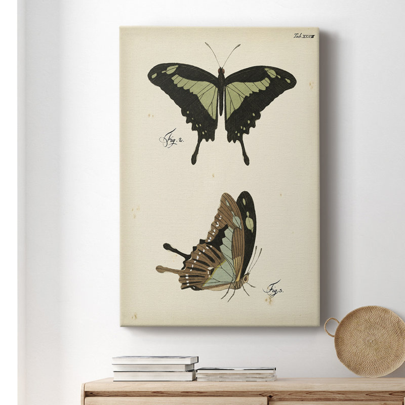 «Butterfly Profile II», impression sur toile tendue, H 27 po x l 16 po x P 1,5 po