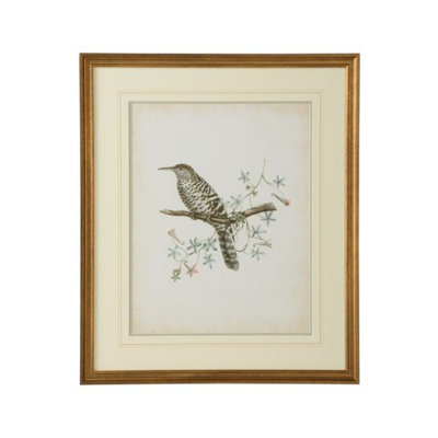 Delicate Birds IV Print