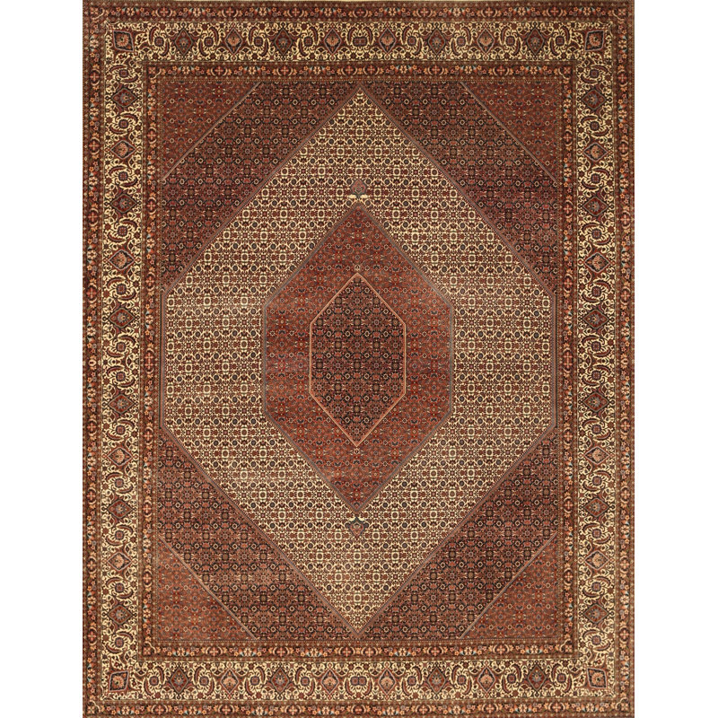Oriental Indoor Rug, Rectangle 8' x 10'
