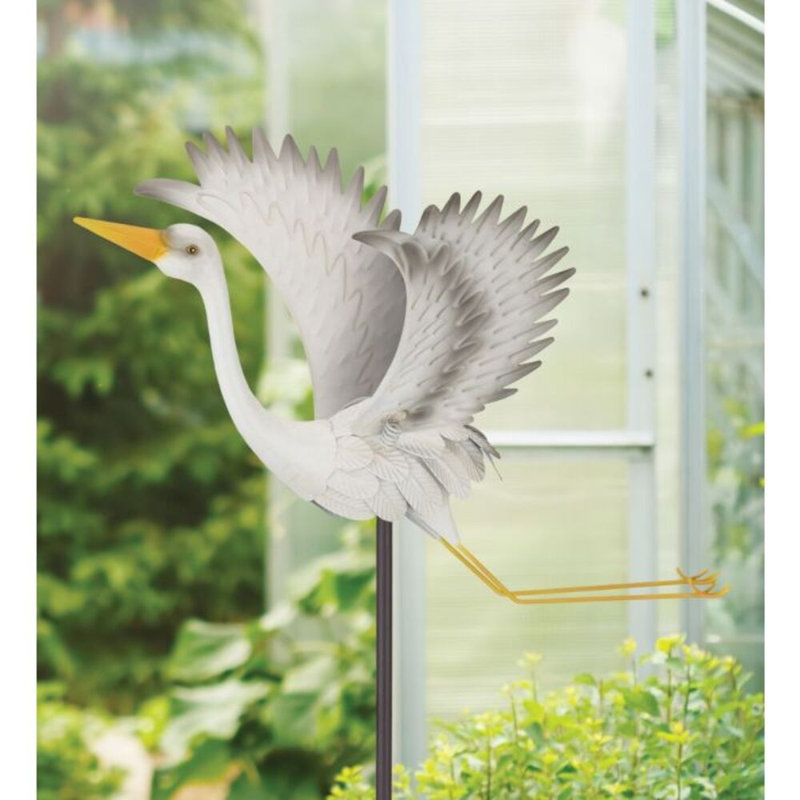 Piquet d'oiseau, Gris