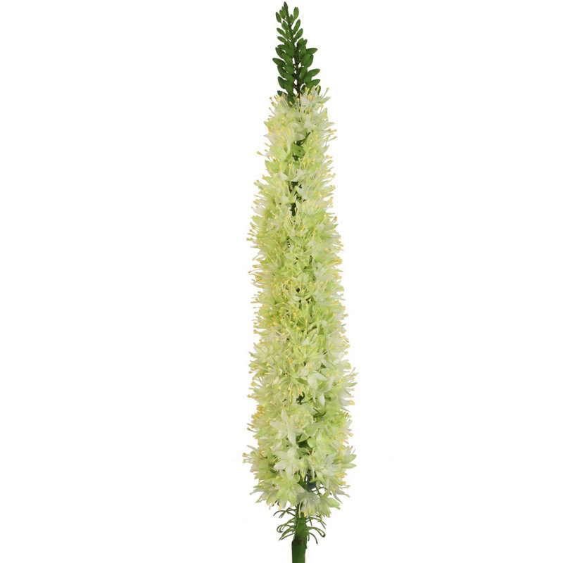 Vaporisateur de sonnette en soie verte par Floral Home®