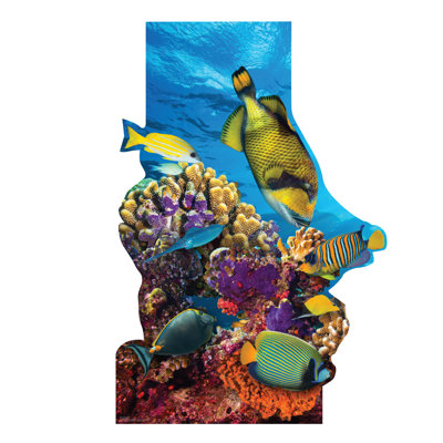 Coral Reef Standee