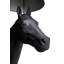 Horse Lamp