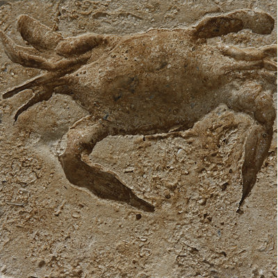 Carrelage médaillon à bordure carrée 6 po x 6 po SeaStone