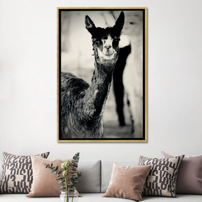 «Happy Alpaca in Black and White» par Susan Vizvary - reproduction de photo