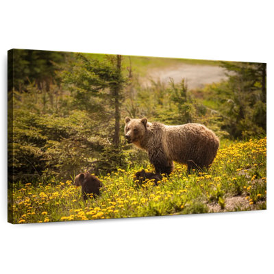 Grizzly canadien de Brampt