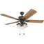 Ventilateur de plafond 52 po avec lumières DEL River Run-219994379