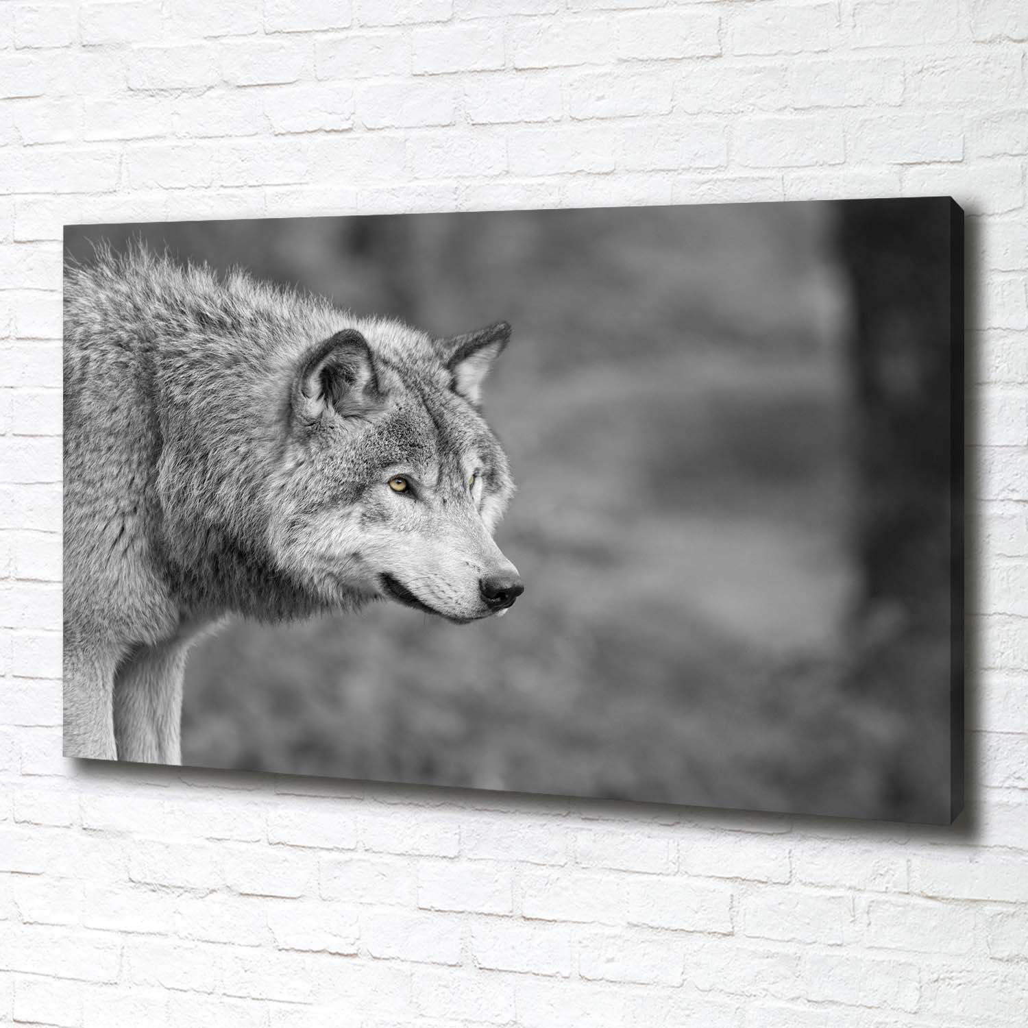 Union Rustic Gray Wolf - Wrapped Canvas Art Prints | Wayfair.co.uk