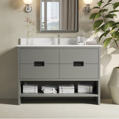 Franci 48'' Single Bathroom Vanity with Quartz Vanity Top
