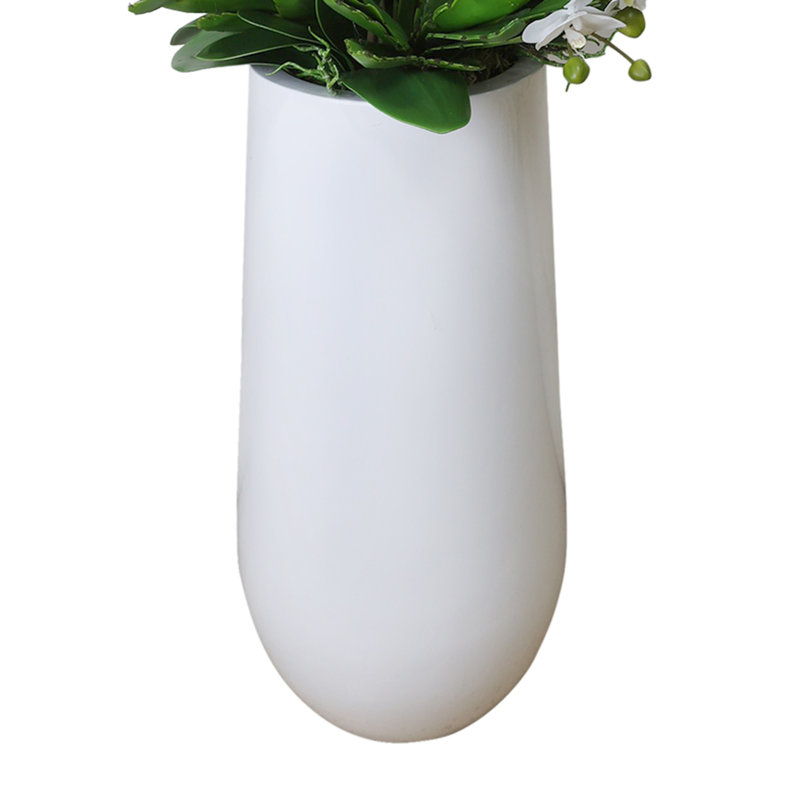 Orchid and Allium Arranged in Planter