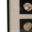 Décoration murale Aldora 16X47 Jensen Petrified