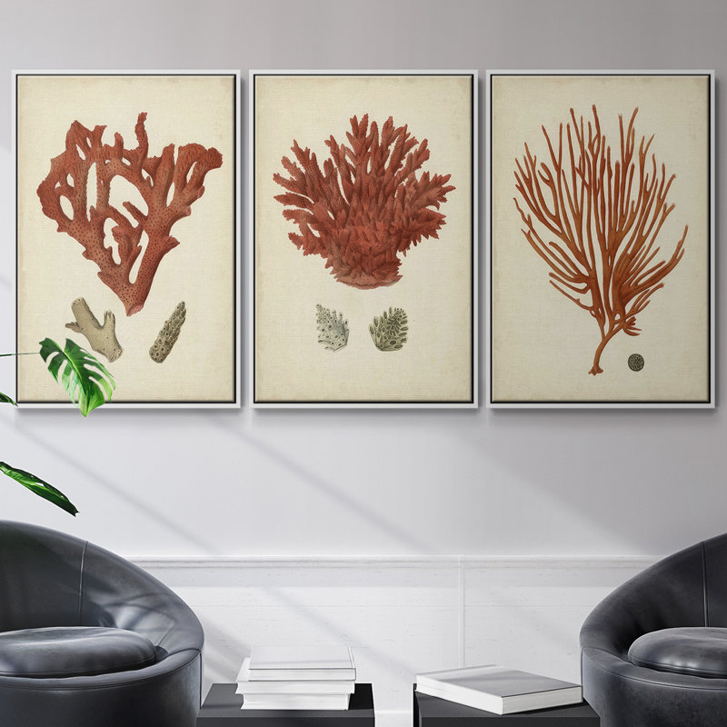 Ensemble de 3 toiles tendues Shell Collection, Blanc, H 36 po x l 72 po