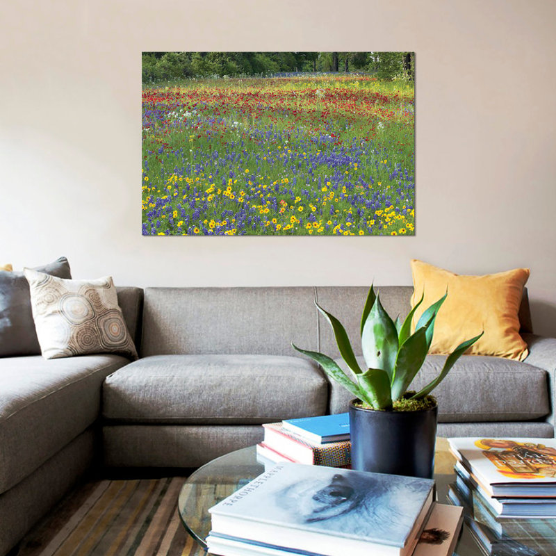 Annuel Coreopsis Texas Bluebonnet, Fort Parker State Park, Texas et Drummond's Phlox par Tim Fitzharris - reproduction d'art sur toile tendue sur toile