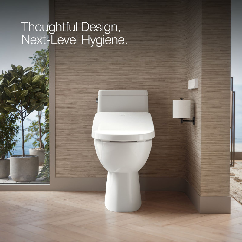 Elongated Bidet Toilet Seat With Remote Control