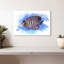 Aquarelle, poisson-ange royal-975191320