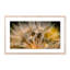 Float Away Print by Geoffrey Baris-48617805-48617808