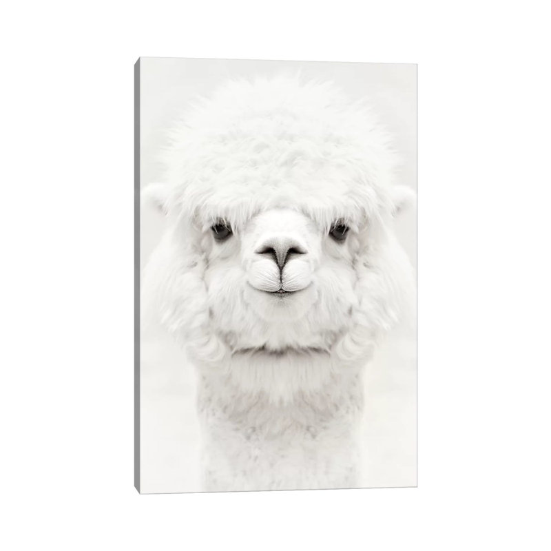 «Sourire d'alpaga» par Monika Strigel - impression d'art graphique, Aucun mat, H 26 po x l 18 po x 1,5 po, Toile tendue