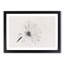 Flower - Framed Print-56853979-56853980