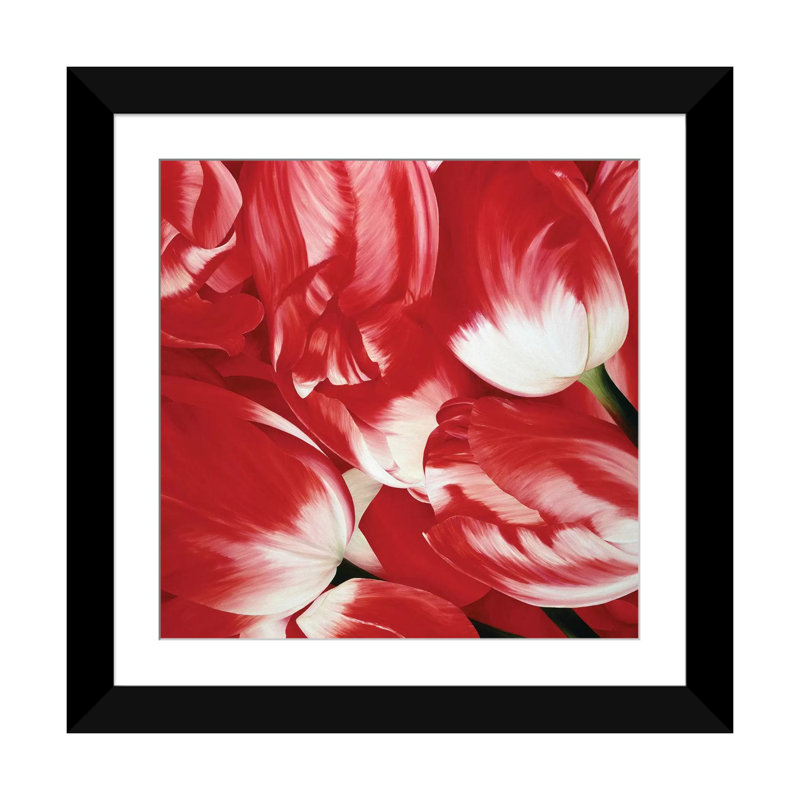 « la plus belle tulipe iii », reproduction d’impression sur toile, H 24 po x l 24 po x P 1 po, Papier d'art encadré noir