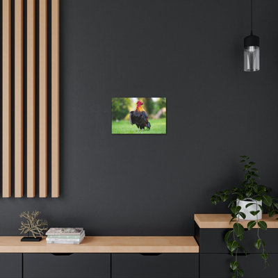 Art de coq majestueux, impression d'art coq majestueux