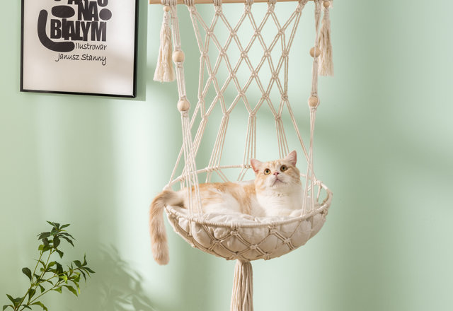 Just for You: Large Cat Beds