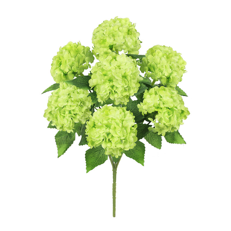 Boule de neige Guelder Rose, Vert / vert