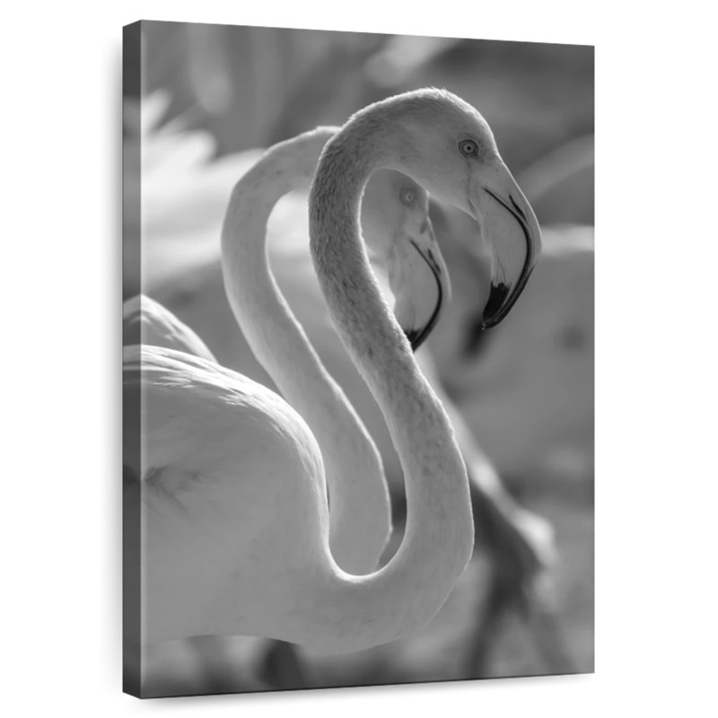 Flamants blancs, H 36 po x l 24 po