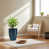 Bleu antique est en rupture de stock