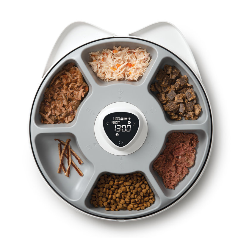 White Programmable Plastic 6-Meal Cat Feeder