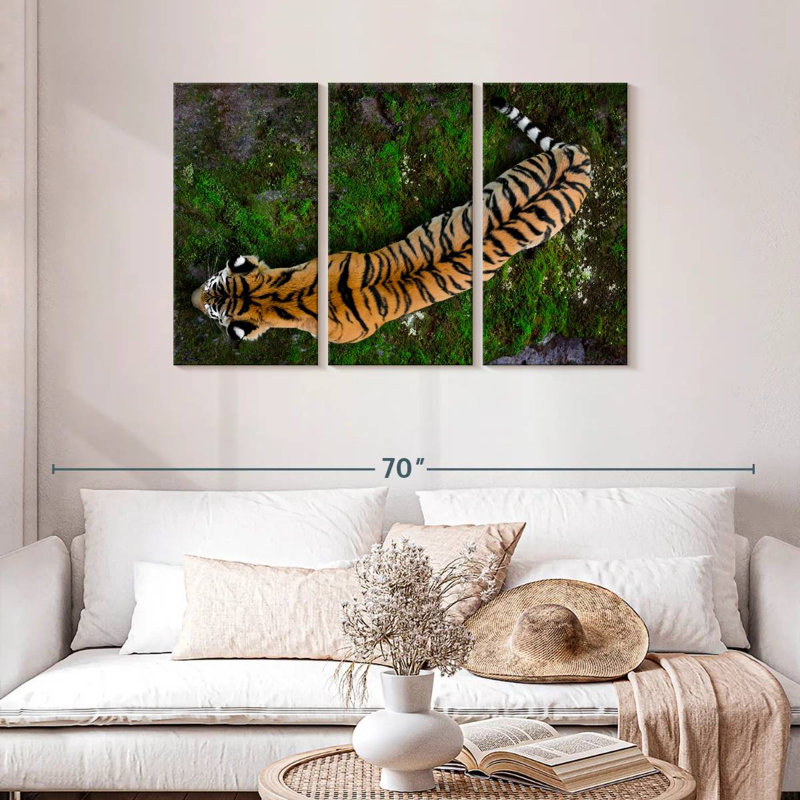 Brampt Tiger From Above, 28" H x 45" W