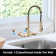 VANITYFAIR Pull Down Kitchen Faucet