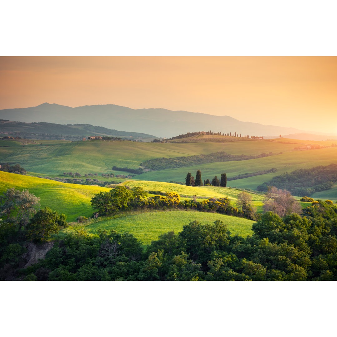 Rollende Landschaft der Toskana von Borchee - Leinwand Kunstdrucke