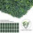 Artificial Boxwood Plant Set-493155756