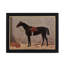 English Riding Horses Framed Print