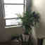 Customer photo 2 of 2