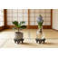 Tabourets de jardin en bois massif (paquet de 2) - Mini présentoir rond de 8 pouces pour plantes d'intérieur en pot, bonsaï et décoration intérieure