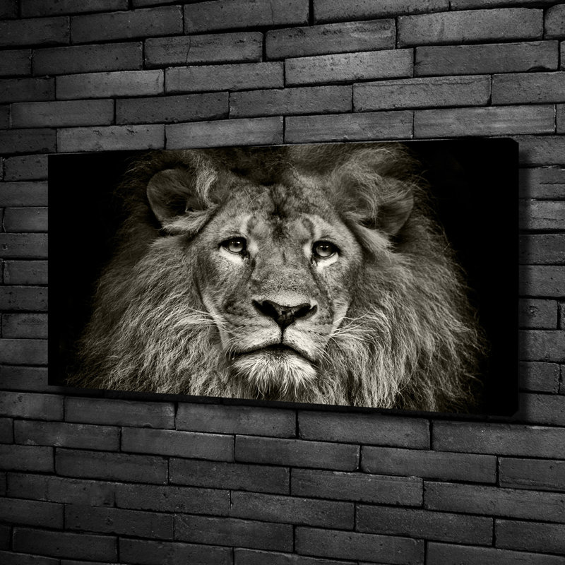 Lion - No Frame Print on Glass, Canvas, 50cm H x 100cm W x 2cm D