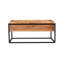 Lehoux Frame Coffee Table with Storage