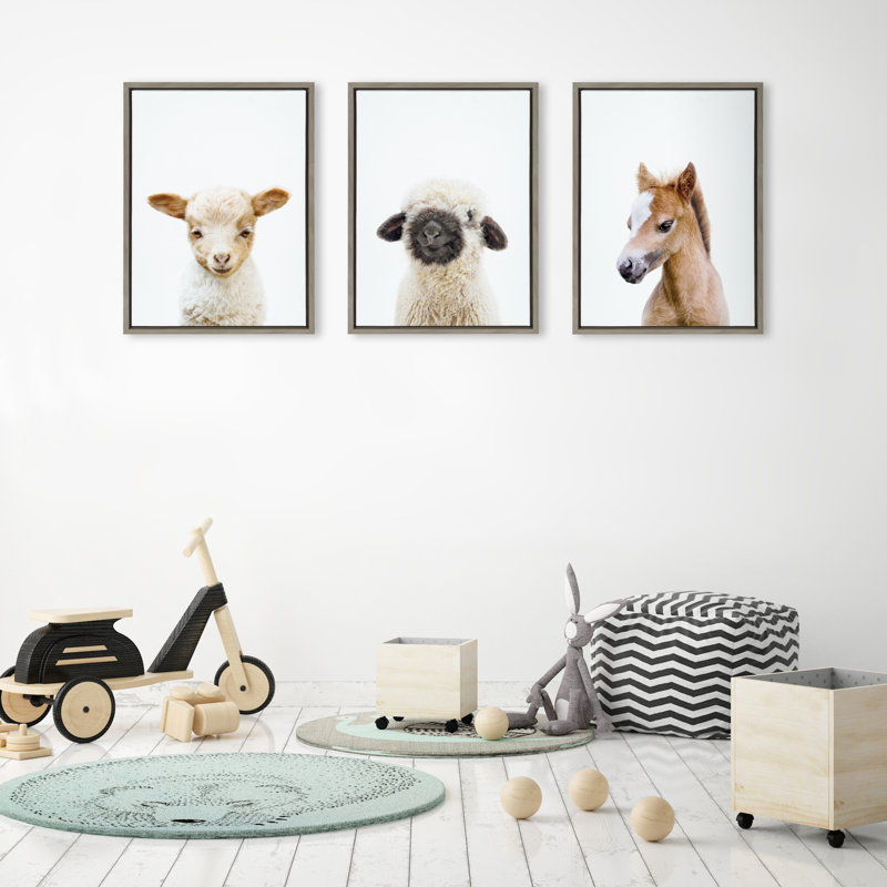 «Animal Studio Baby Horse» par Amy Peterson, reproduction d'art sur toile encadrée, Gris