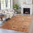 Machine Washable Indoor/Outdoor Xhevrie Terracotta Rug-111819191