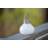 Nereus 5.5'' Solar Powered Integrated LED-1577585916