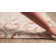 Annabel Abstract Indoor Rug