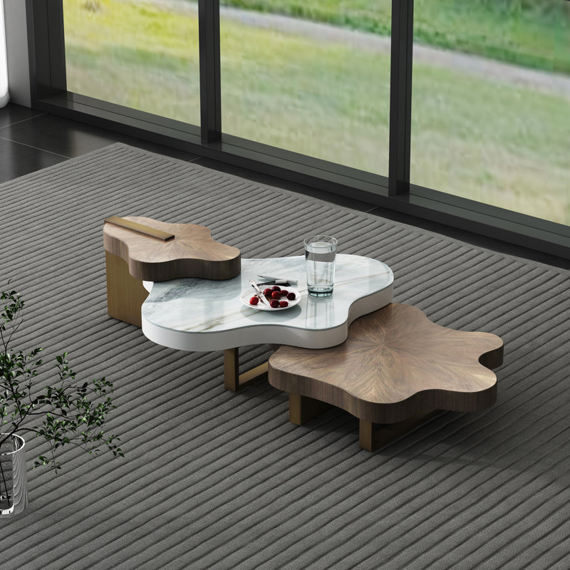 62”Modern Luxury Irregular Cloud Solid Wood Coffee Table Set
