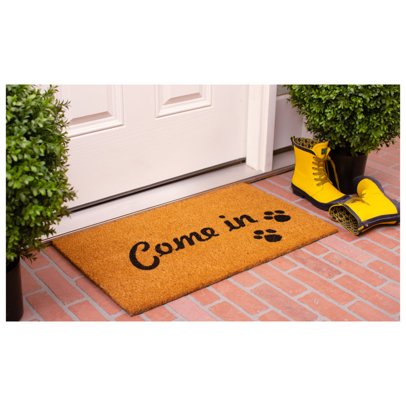 Tapis d'entrée antidérapant Antuane