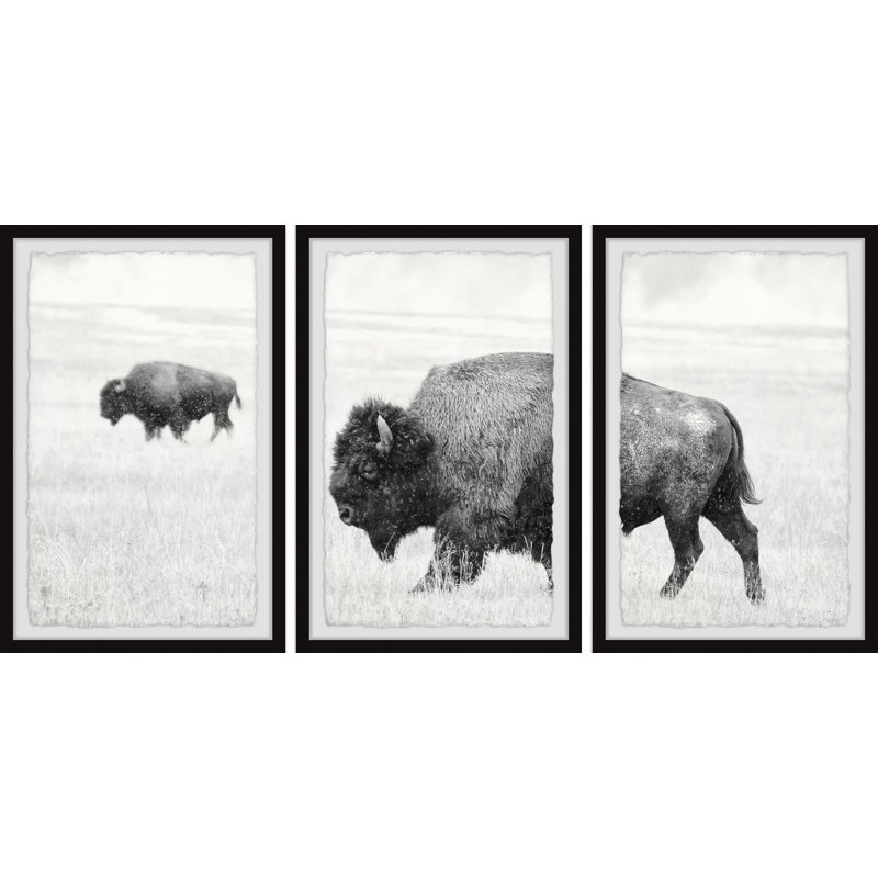 Andish Keep Moving - 3 Piece Single Picture Frame Print