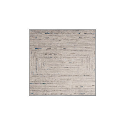 Machine Washable Gray Area Rug