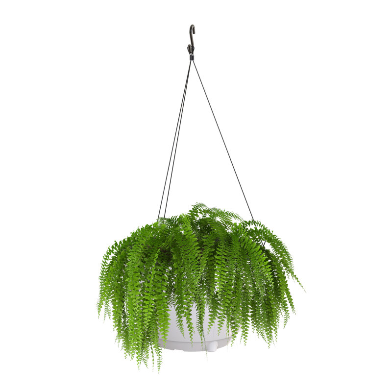 Pot à fleurs suspendu Wetumka, 1, Blanc